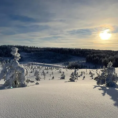 Villa Hideout Jaekaelae *