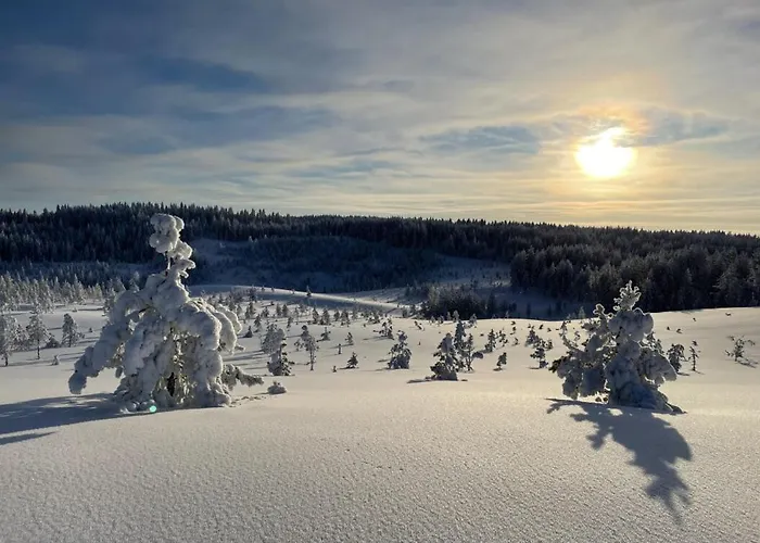 Huvilat Hideout Jäkälä *